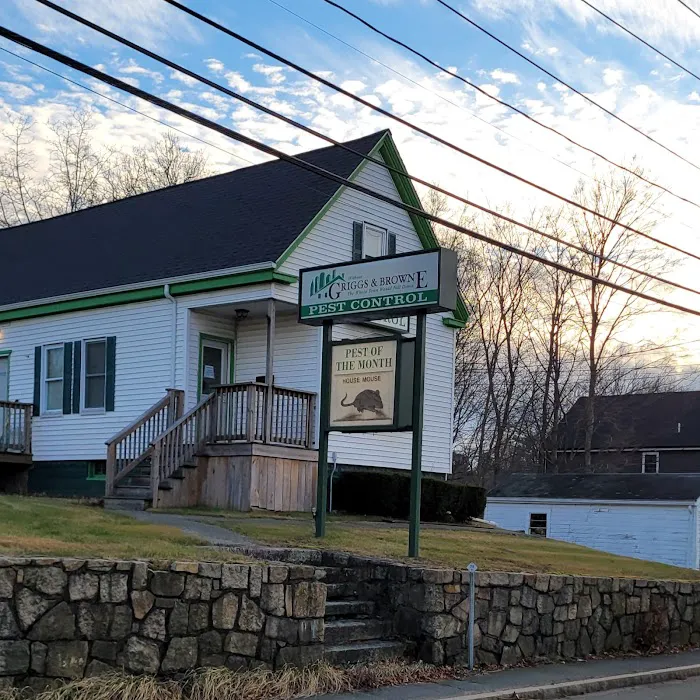 Griggs and Browne - Eastern Massachussets Picture 1