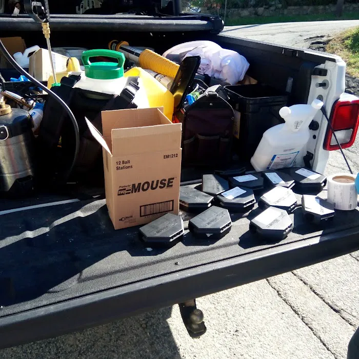 Safety Fumigant Pest Control Picture 7