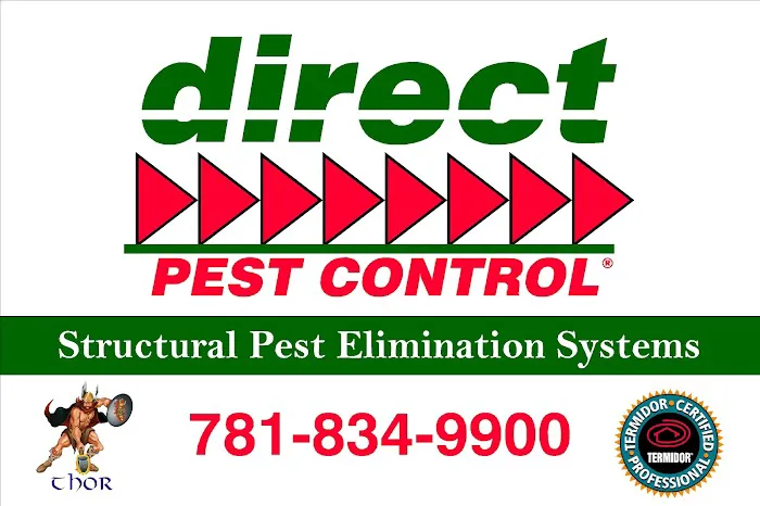 direct pest control Picture 4