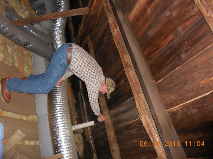 direct pest control Picture 3