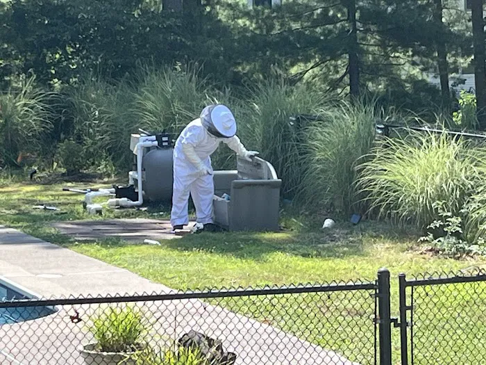 Squared Away Pest Control Picture 1
