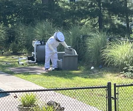 Squared Away Pest Control