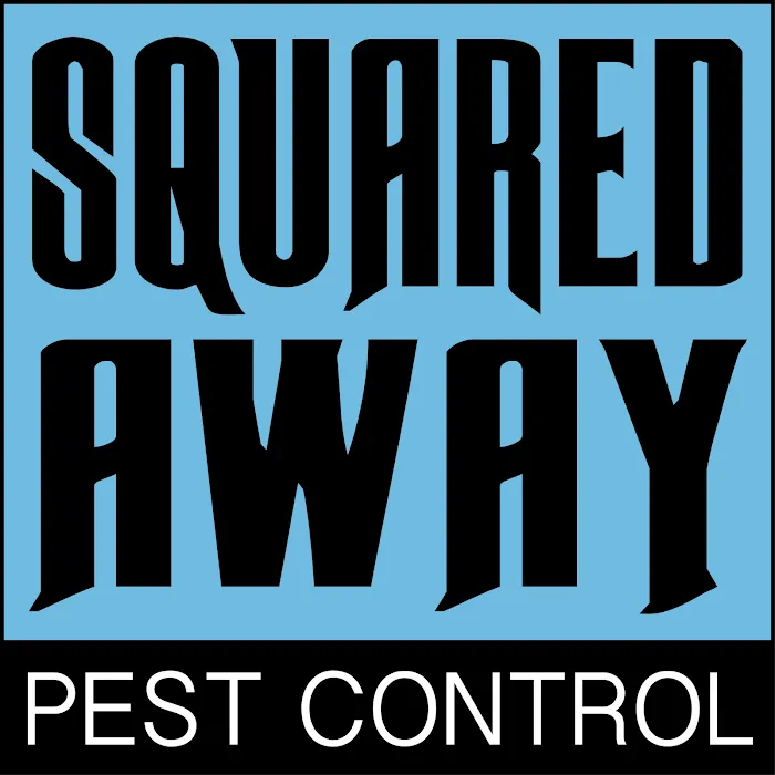 Squared Away Pest Control Picture 8