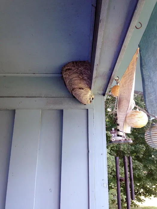 Squared Away Pest Control Picture 3
