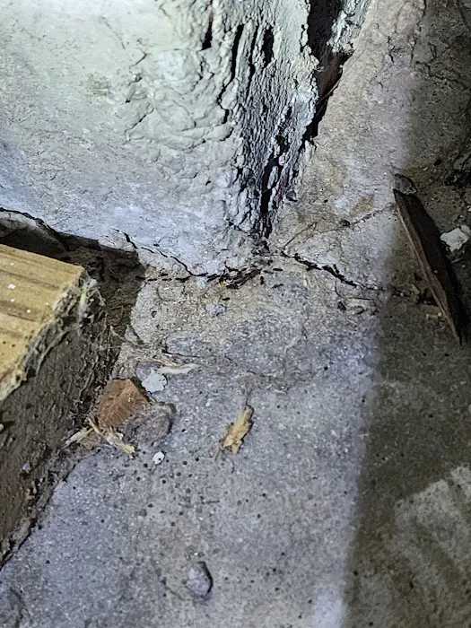 REPEL Pest Solutions Picture 6