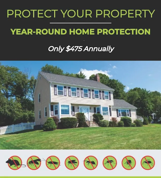 REPEL Pest Solutions Picture 7