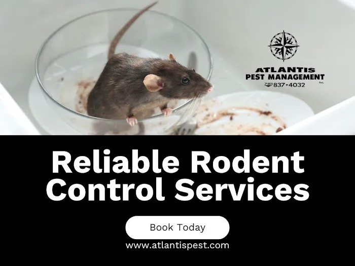 Atlantis Pest Management Inc Picture 1