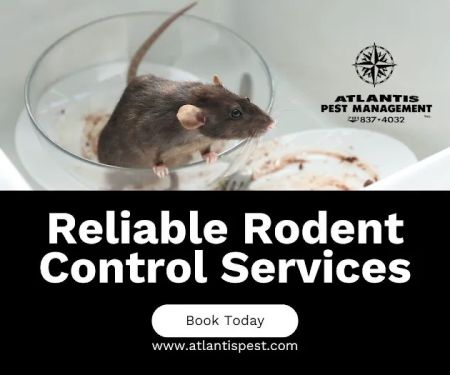 Atlantis Pest Management Inc