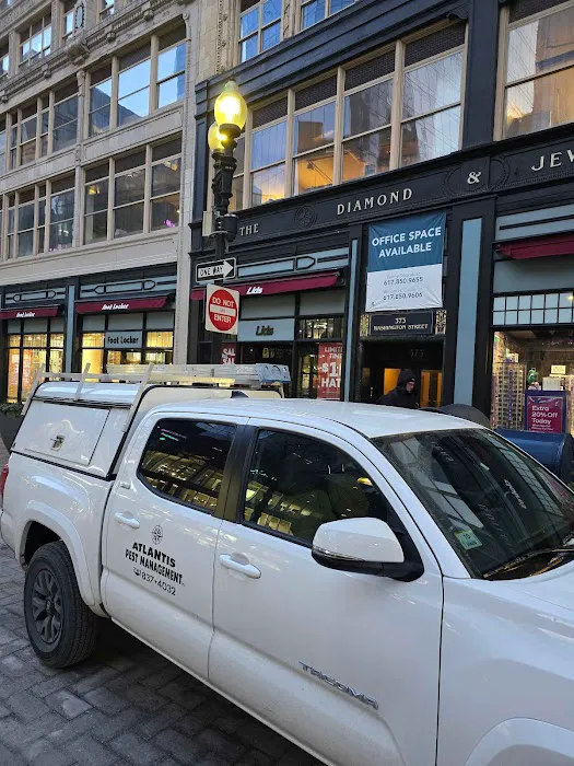 Atlantis Pest Management Inc Picture 6