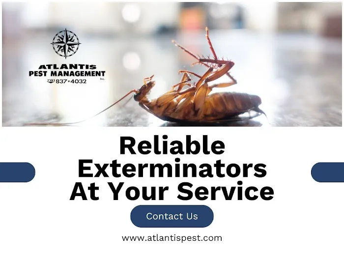 Atlantis Pest Management Inc Picture 3