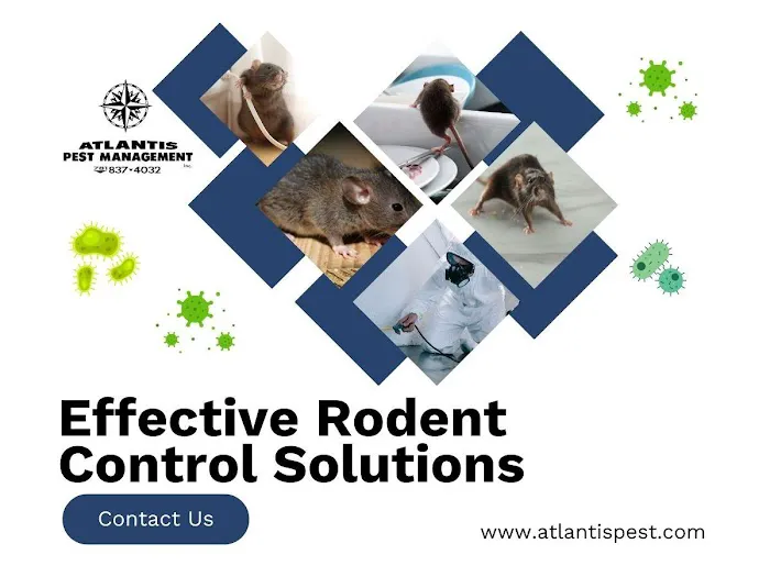 Atlantis Pest Management Inc Picture 8