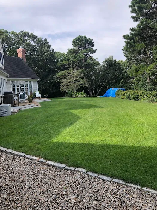 Four Paws Lawn Care Picture 4