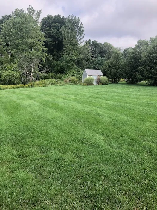 Four Paws Lawn Care Picture 3