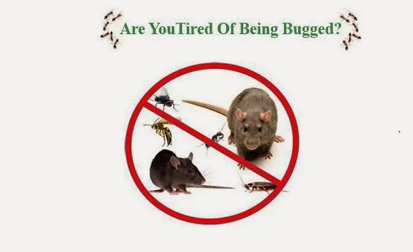 A & M Pest Control Picture 2