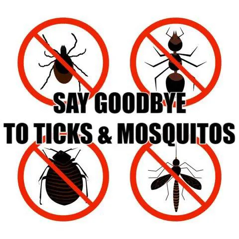 THOMAS TICK AND MOSQUITO SPRAYING CAPE COD Picture 1