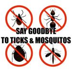 THOMAS TICK AND MOSQUITO SPRAYING CAPE COD