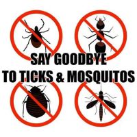 THOMAS TICK AND MOSQUITO SPRAYING CAPE COD ico