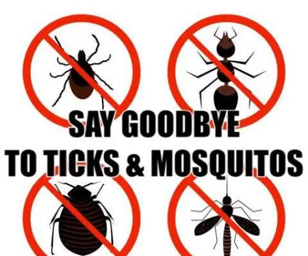 THOMAS TICK AND MOSQUITO SPRAYING CAPE COD