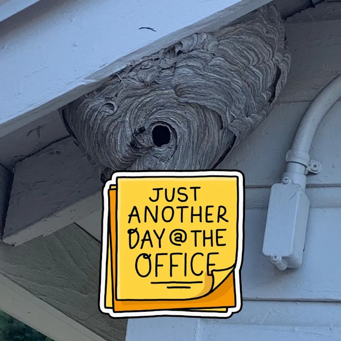 Evolve Pest Control LLC Picture 3