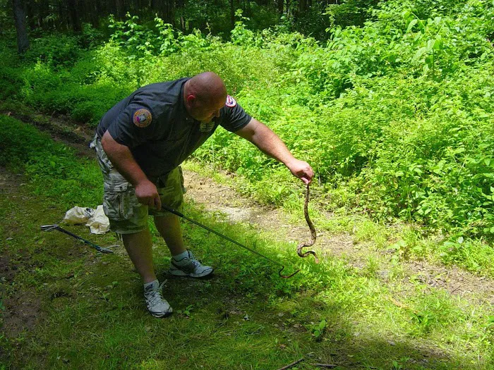 Mid-Atlantic Wildlife Control Picture 3