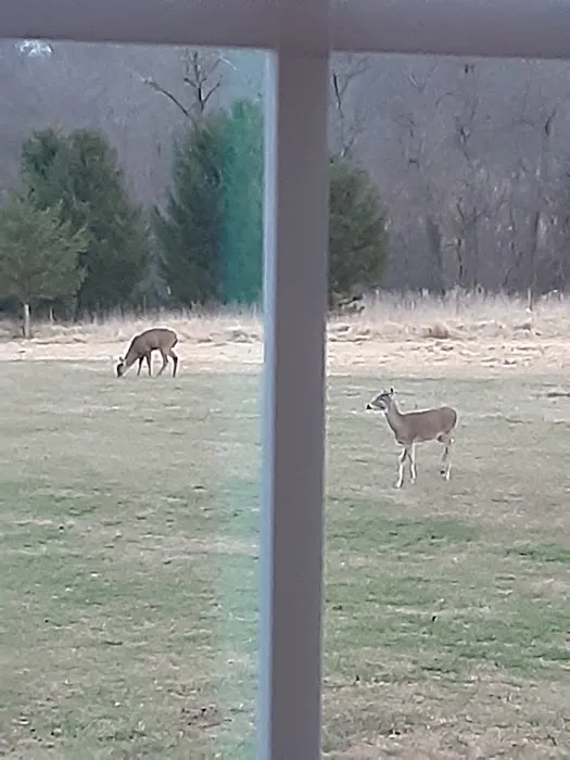 Mid-Atlantic Wildlife Control Picture 4