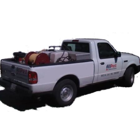 AllPest Termite & Pest Control