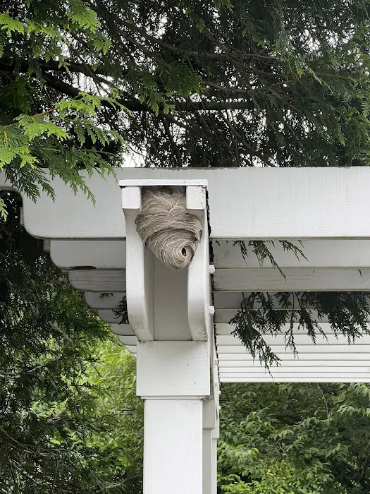 Orkin Picture 5