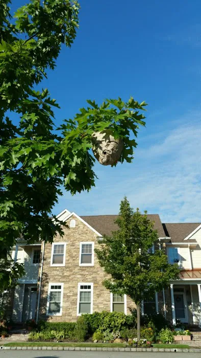 A to B Pest Control LLC Picture 8