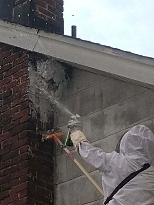 A to B Pest Control LLC Picture 7