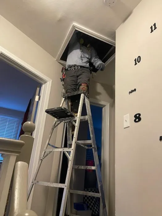 A to B Pest Control LLC Picture 4