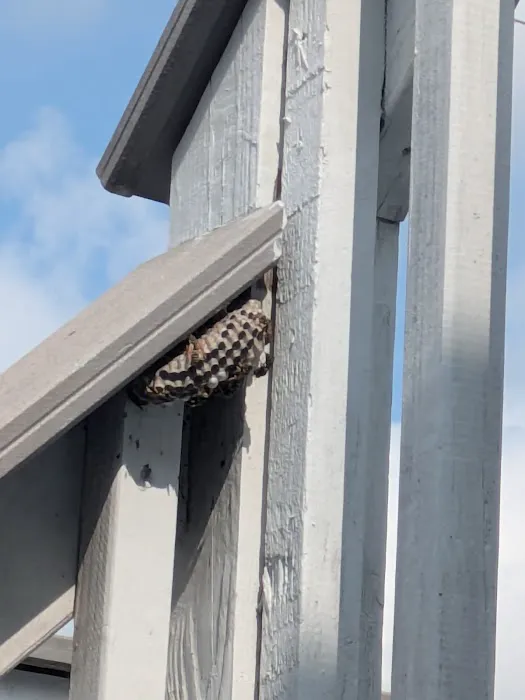 A to B Pest Control LLC Picture 10