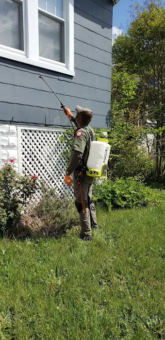 A to B Pest Control LLC Picture 9