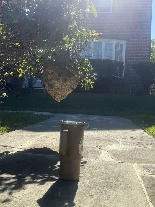 A to B Pest Control LLC Picture 2