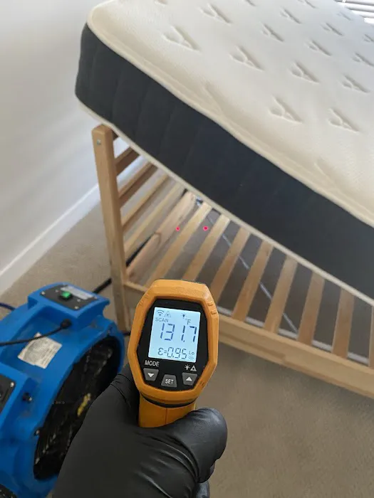 Eco Bed Bug Exterminators Baltimore Picture 3