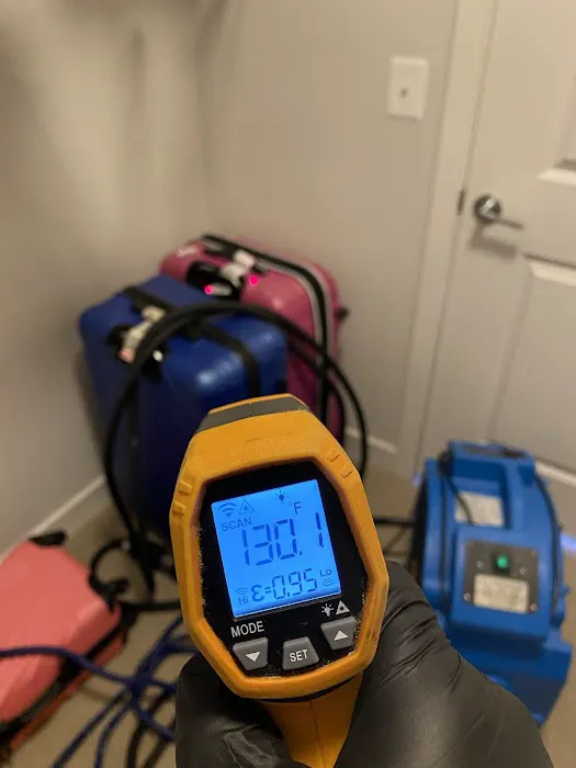 Eco Bed Bug Exterminators Baltimore Picture 5
