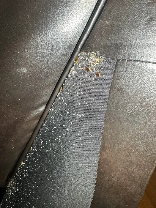 Eco Bed Bug Exterminators Baltimore Picture 9