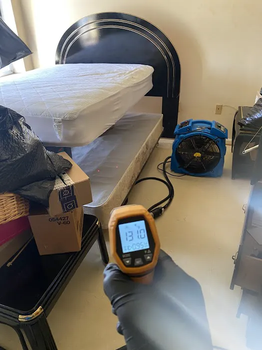 Eco Bed Bug Exterminators Baltimore Picture 1