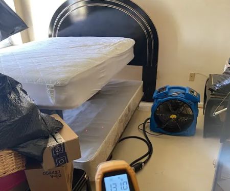Eco Bed Bug Exterminators Baltimore