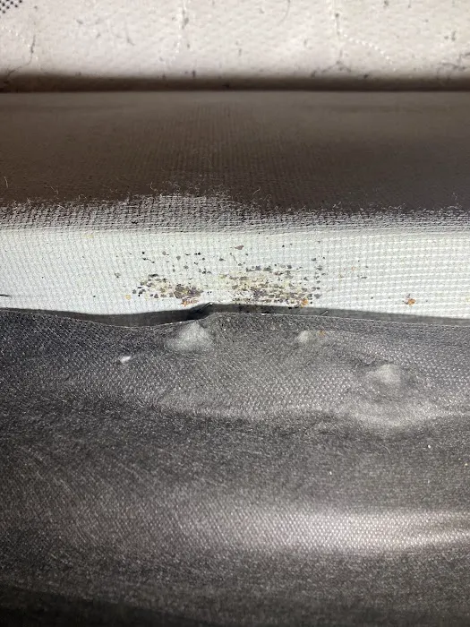 Eco Bed Bug Exterminators Baltimore Picture 10