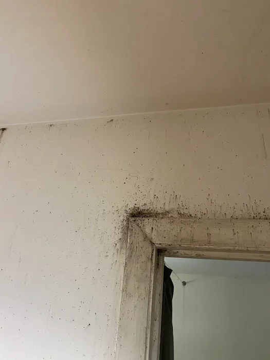Eco Bed Bug Exterminators Baltimore Picture 6