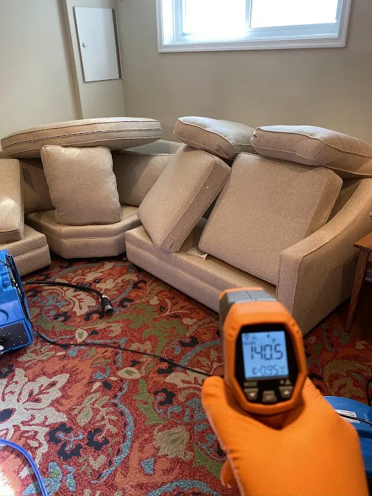 Eco Bed Bug Exterminators Baltimore Picture 2