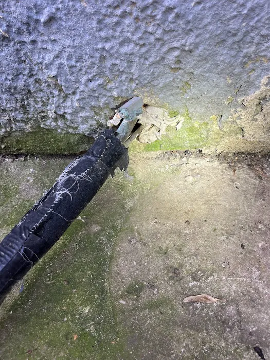 Baltimore Pest Control Exterminators Picture 7
