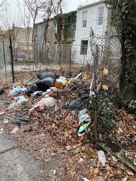 Baltimore Pest Control Exterminators Picture 4