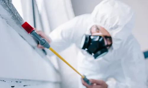 Baltimore Pest Control Exterminators Picture 5