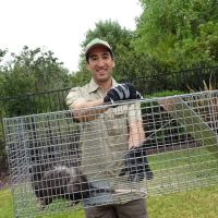 Baltimore Wild Animal Removal ico