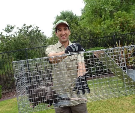 Baltimore Wild Animal Removal