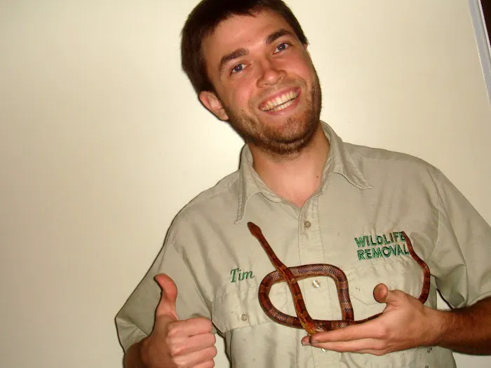 Wildlife Trapping Professionals of Baltimore Picture 9