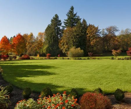 Tomlinson Bomberger Lawn Care & Pest Control