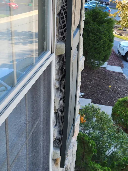 The Wildlife Doctor Picture 3