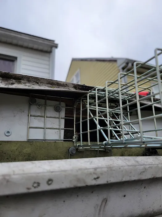 The Wildlife Doctor Picture 4